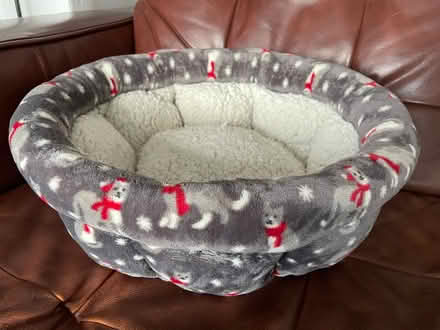 Photo of free Cat bed (Sherwood TN2) #1