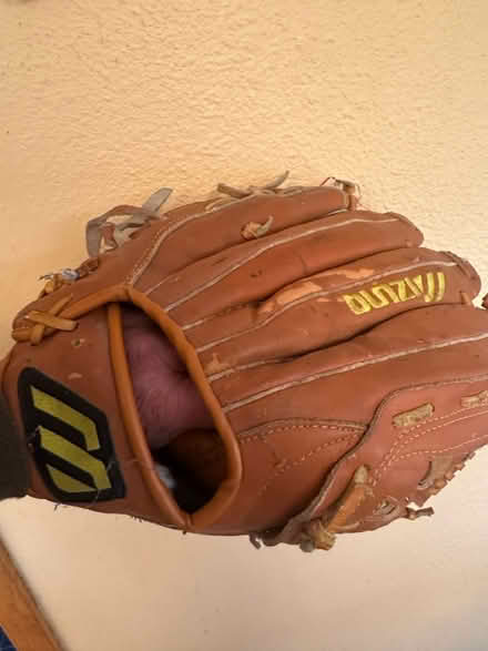 Photo of free Ball glove (NE Seattle) #2
