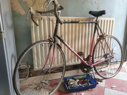 Photo of free Vintage Peugeot Racing Bicycle (Breadsall DE21) #1