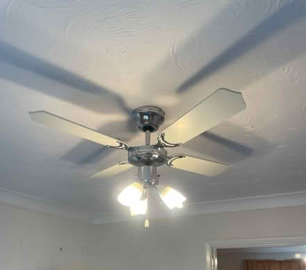 Photo of free Ceiling Light/Fan (Bishop’s Stortford CM23) #1