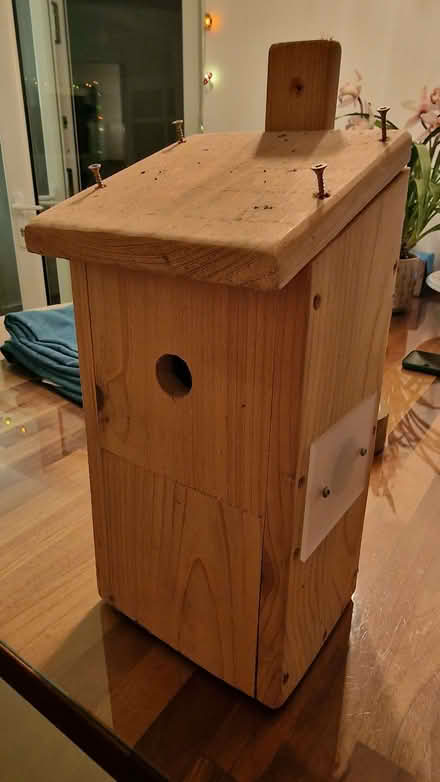 Photo of free Wooden Bird Box with Camera (Bowerham LA1) #2