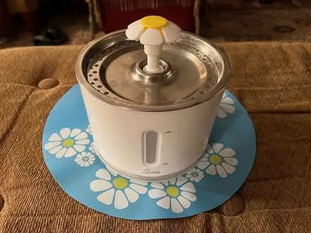 Photo of free Cat water fountain (Skokie) #1