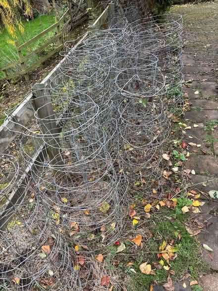 Photo of free Shortish lengths of sheep netting (Milford Belper) #3