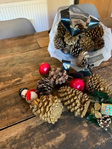 Photo of free A bag of items for wreath making (Colwall Stone WR13) #1