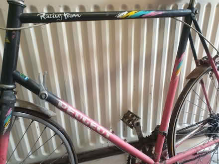 Photo of free Vintage Peugeot Racing Bicycle (Breadsall DE21) #2