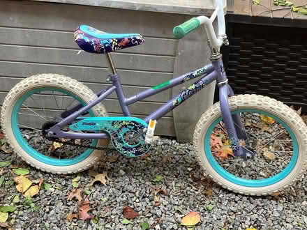 Photo of free 16" Pacific Cycle Bike (Tenleytown DC) #1