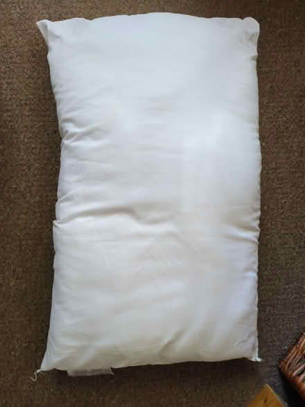 Photo of free Primark pillow good condition (South Croydon) #1