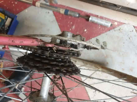 Photo of free Vintage Peugeot Racing Bicycle (Breadsall DE21) #3