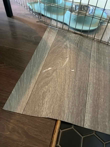 Photo of Vinyl sheet or floor protector (Bath, odd down) #1