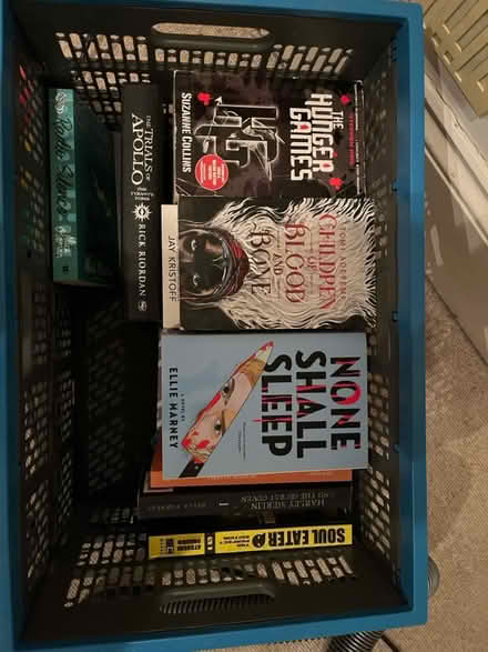 Photo of free 20 ish fantasy books (Ealing Common W5) #2