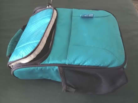 Photo of free Electric Blanket, Lunch Bag (In Champaign off Prospect) #2