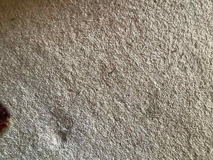 Photo of free Beige/cream carpeting (sidlesham) #2