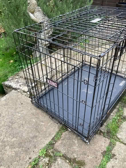 Photo of free Kong dog crate (RUshden NN10) #1