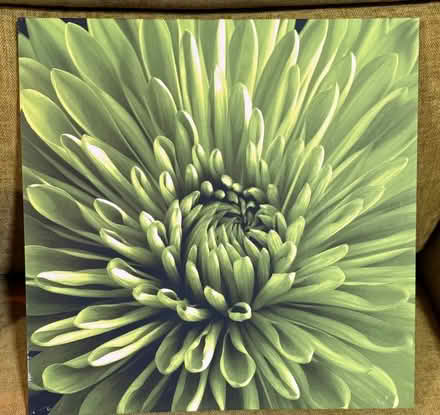 Photo of free Green Floral Canvas (Chandlers Ford SO53) #2