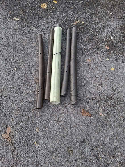 Photo of free Tree guards (Stroud GL5) #1