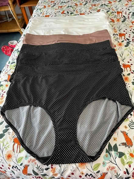 Photo of free Warner's women's briefs size 3XL (Derwood, MD) #1