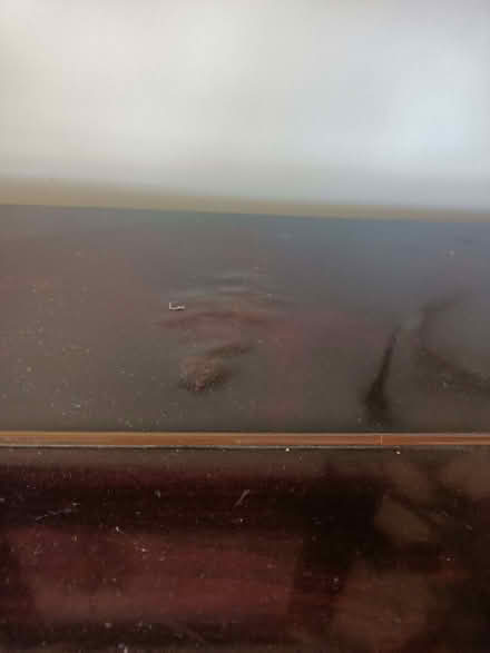 Photo of free Piano (Saltaire BD18) #3