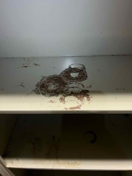 Photo of free Sandusky steel cabinet (Flemington) #4