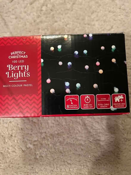 Photo of free Christmas Berry Lights (Pastel) (Colinton Mains EH13) #1