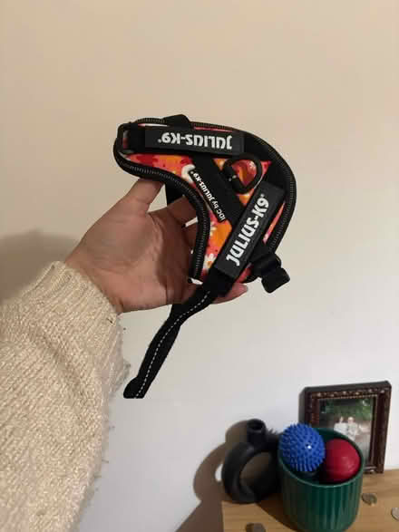 Photo of free New julius k9 dog harness 3xs (L13) #3
