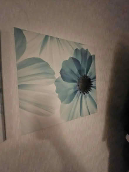 Photo of free 3 canvas pictures (Ashton in Makerfield WN4) #2