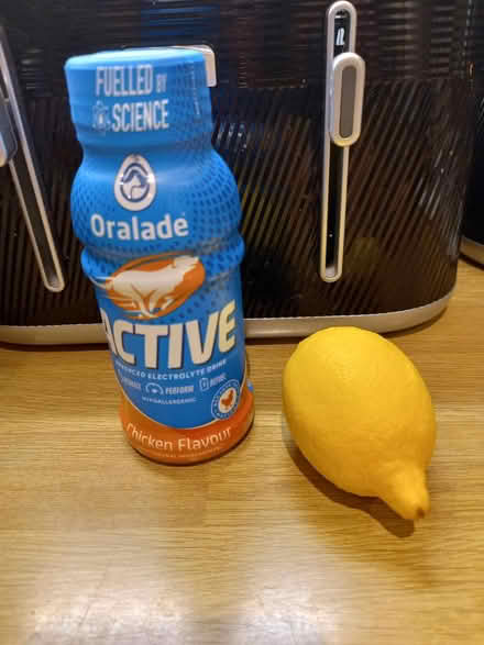 Photo of free Dogs drink (Roundhill area brighton) #1