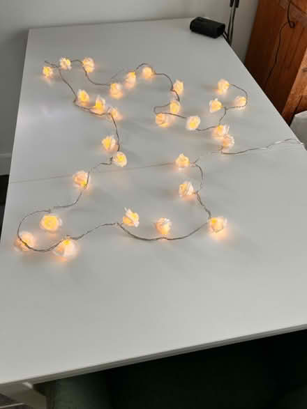 Photo of free Indoor lights (Brentwood CM14) #3