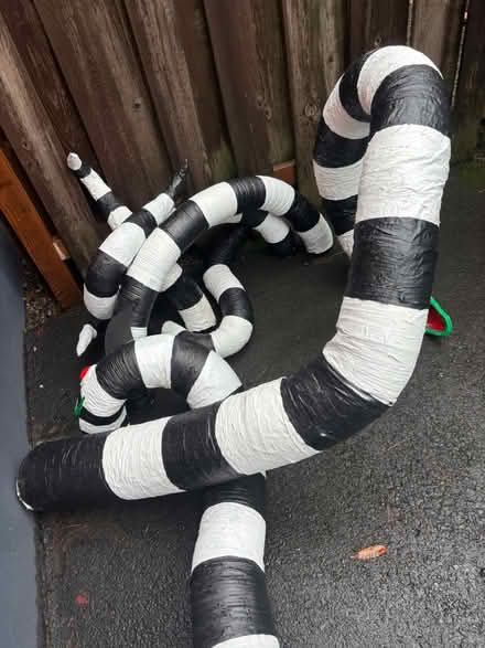 Photo of free Beetlejuice sand snake decorations (Montavilla) #2