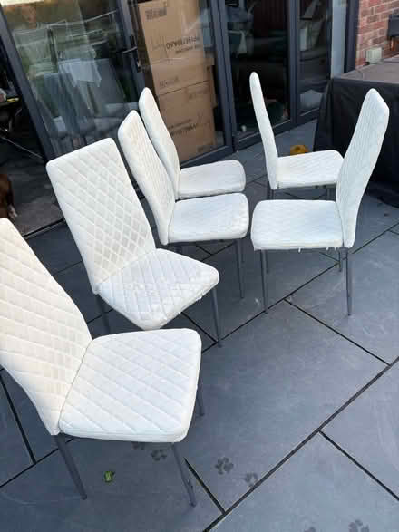 Photo of free 6 White dining room chairs (Ramsden Heath) #1