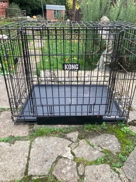 Photo of free Kong dog crate (RUshden NN10) #3