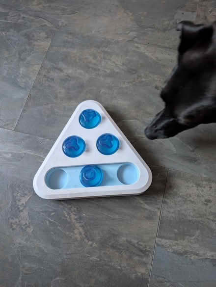 Photo of free Dog puzzle (DA16) #3