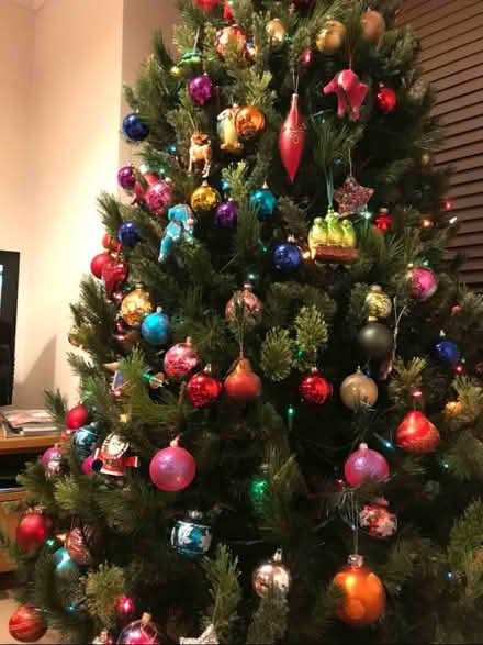 Photo of free 7ft Christmas Tree (Harvey Close BS22) #2