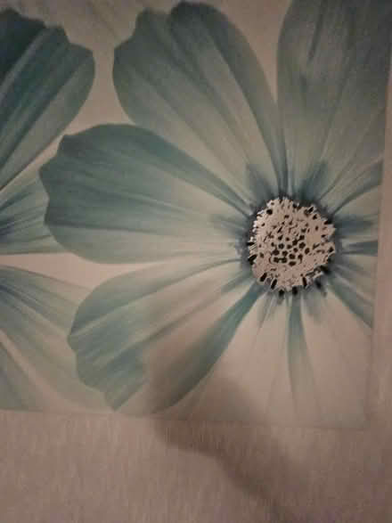 Photo of free 3 canvas pictures (Ashton in Makerfield WN4) #3