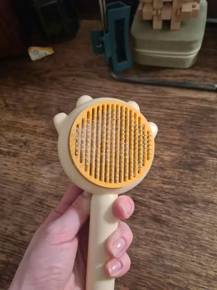 Photo of free Cat brush (Loanhead, EH20) #2