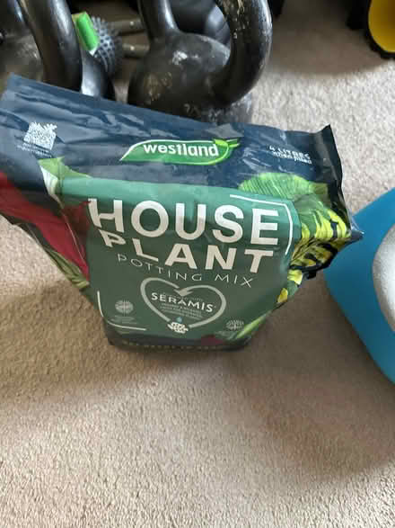 Photo of free Planting mix (Twickenham Centre) #1