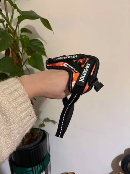 Photo of free New julius k9 dog harness 3xs (L13) #2