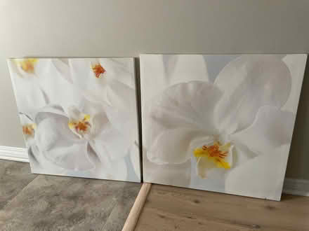 Photo of free 2pc ikea canvas art (Fallingbrook South (Orleans)) #1