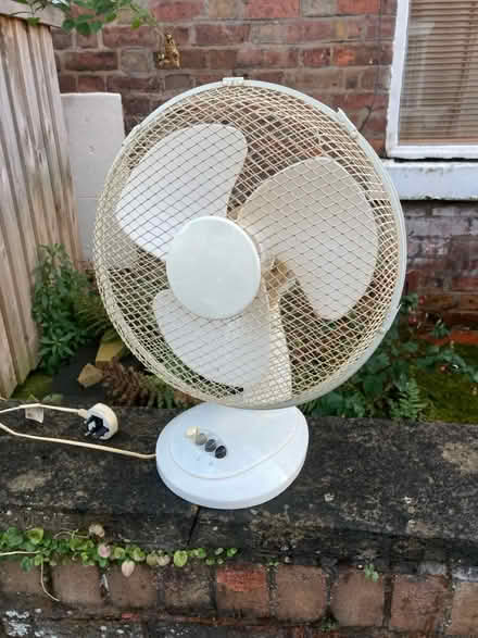 Photo of free Electrical fan (SY1 Castlefields) #1