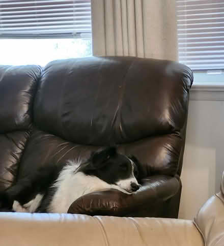 Photo of free Lazy Boy Reclining Couch (Riverdale) #2