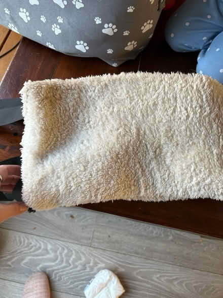 Photo of free Dog nappies and sling (Bedwell stevenage) #2