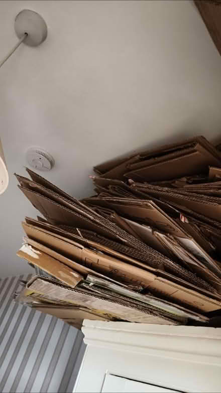 Photo of free Multiple cardboard boxes (Richmond TW9) #1