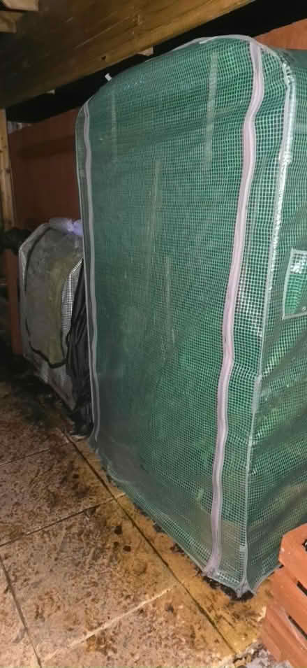 Photo of Growhouse (Warwickshire CV34) #3