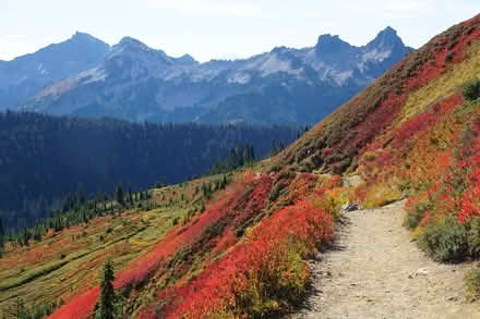 Photo of free Mountain View Print (Christie Pits Park) #1