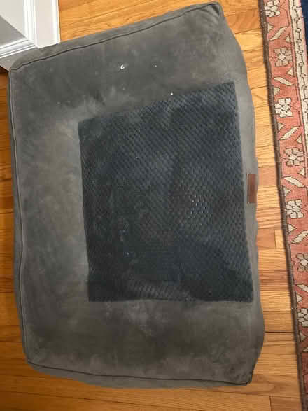 Photo of free Dog bed (Hintonburg) #1
