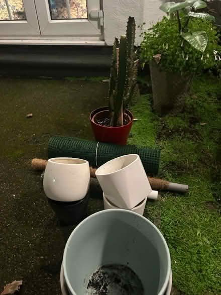Photo of free Cacti , ceramic plant pots (Bognor Regis PO21) #1
