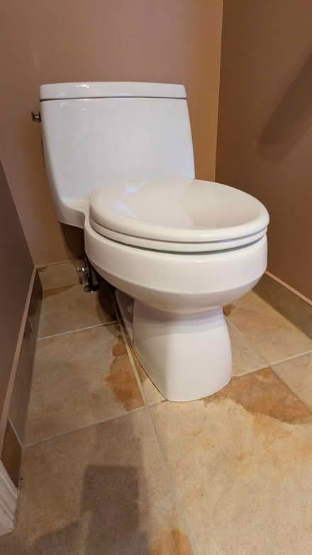 Photo of free Toilet (Alta Vista) #1