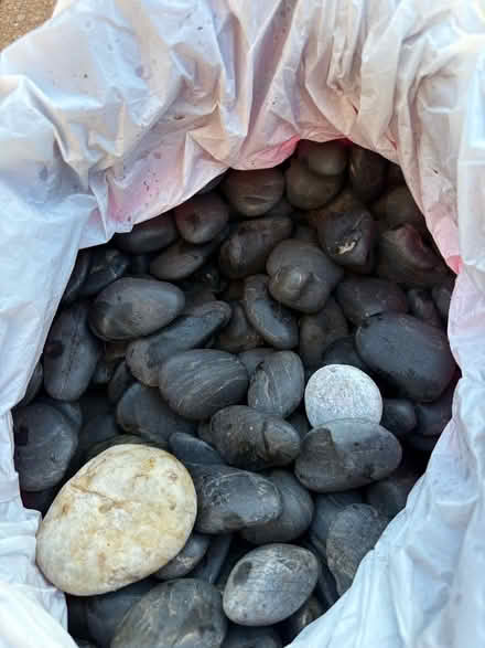 Photo of free Ornamental Pebbles (Comeytrowe District Ward TA1) #1
