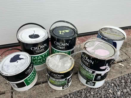 Photo of free Lots of wall paint (Winterbourne BS36) #2