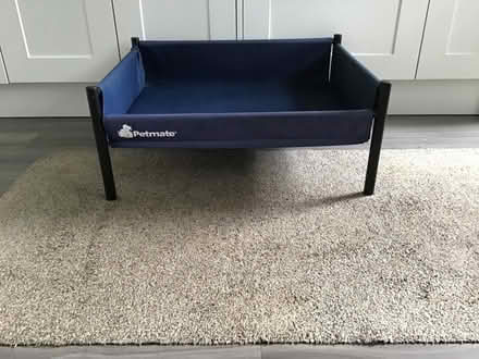 Photo of free Blue Dog Beds (West Byfleet KT15) #1
