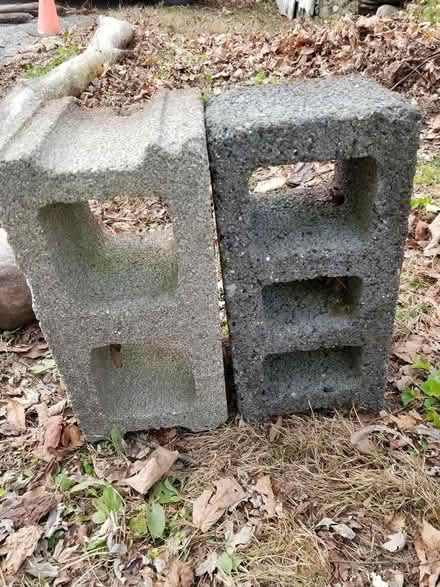 Photo of free Cement blocks (Huntington MA) #1